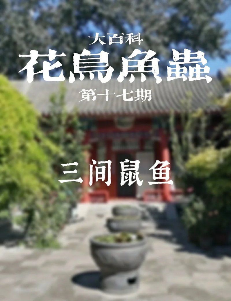 祥龍魚場是否有三間鼠魚，祥龍魚場是否存在三間鼠魚