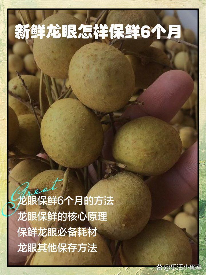 龍眼保鮮有哪些技巧，有效的龍眼保鮮技巧不僅有助于延長龍眼的新鮮度