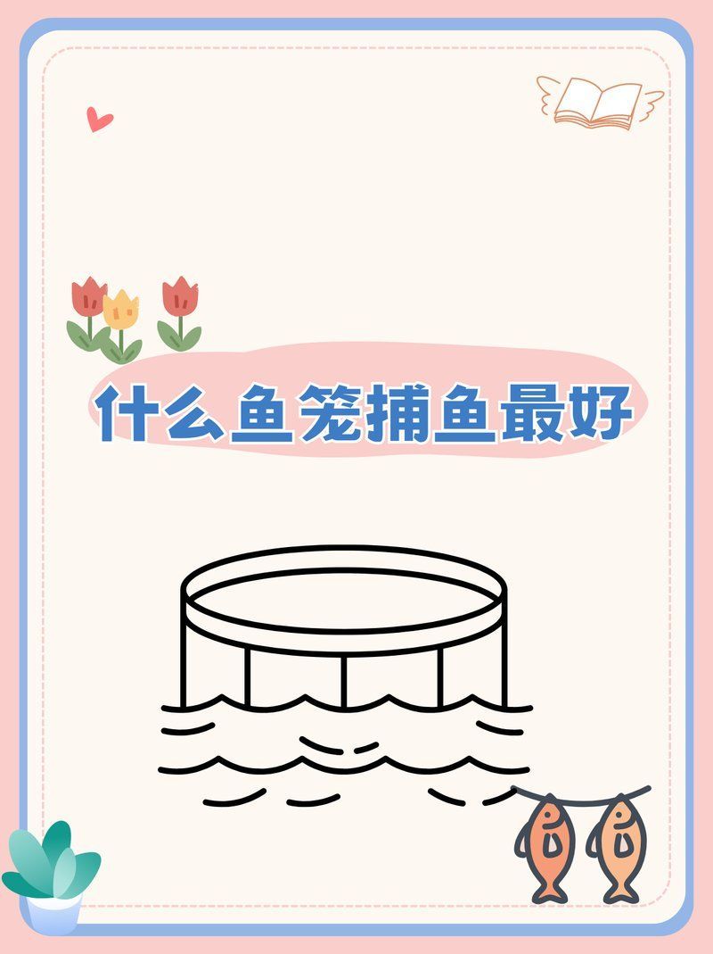 有哪些材質可以制作魚籠，如何選擇魚籠 有哪些材質可以制作魚籠，如何選擇魚籠 龍魚百科 第1張