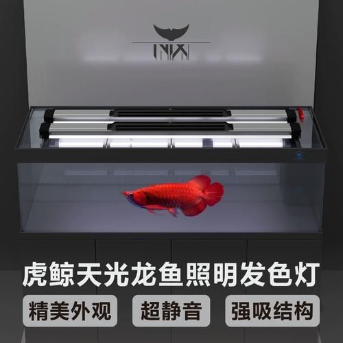 龍魚燈2700和6700哪個更耗電？