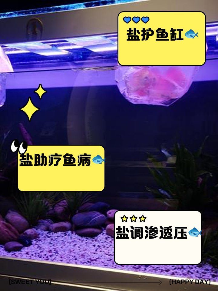 魚爛尾加鹽后多久見效，如何判斷魚爛尾是否好轉(zhuǎn)