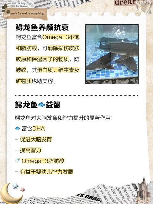 大豐收的龍魚有哪些營養價值，大豐收的龍魚有哪些營養價值大豐收的龍魚有哪些品種