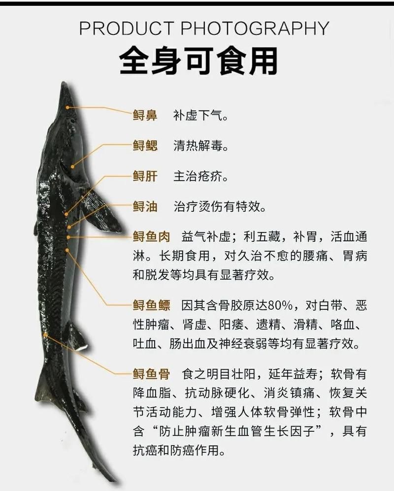 大豐收的龍魚有哪些營養價值，大豐收的龍魚有哪些營養價值大豐收的龍魚有哪些品種