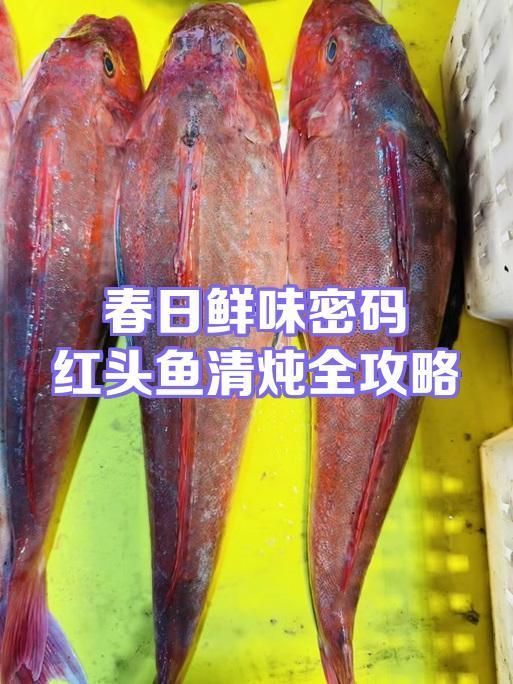 推薦幾道紅頭魚的經典做法
