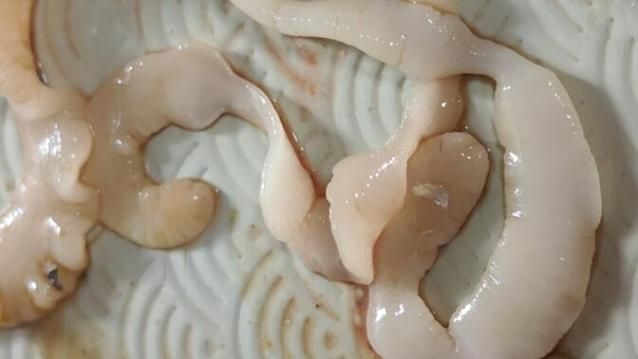怎么判斷魚有沒(méi)有寄生蟲，arxiv論文助手判斷魚類寄生蟲是否有寄生蟲視覺識(shí)別指南