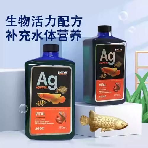 有哪些龍魚專用維生素可以嘗試？，龍魚專用維生素使用指南