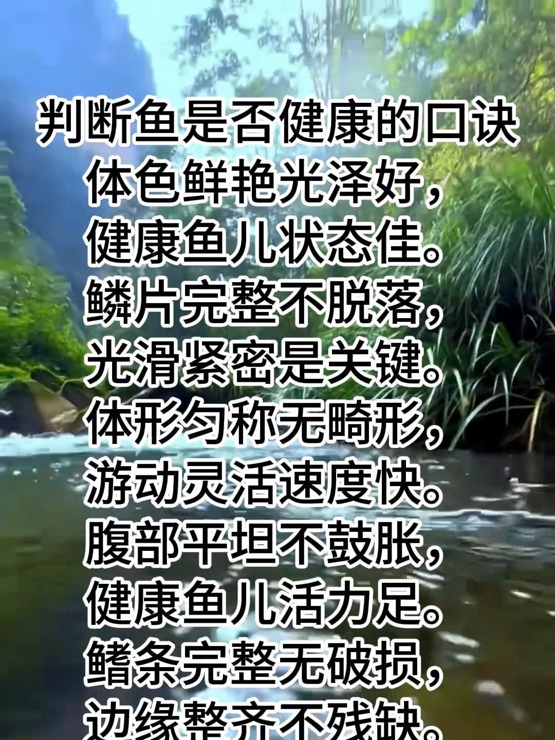 如何判斷觀賞魚是否健康，怎樣判斷觀賞魚是否健康