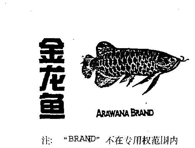 金龍魚logo的高清圖片有哪些版本？，金龍魚logo有哪些設(shè)計元素？