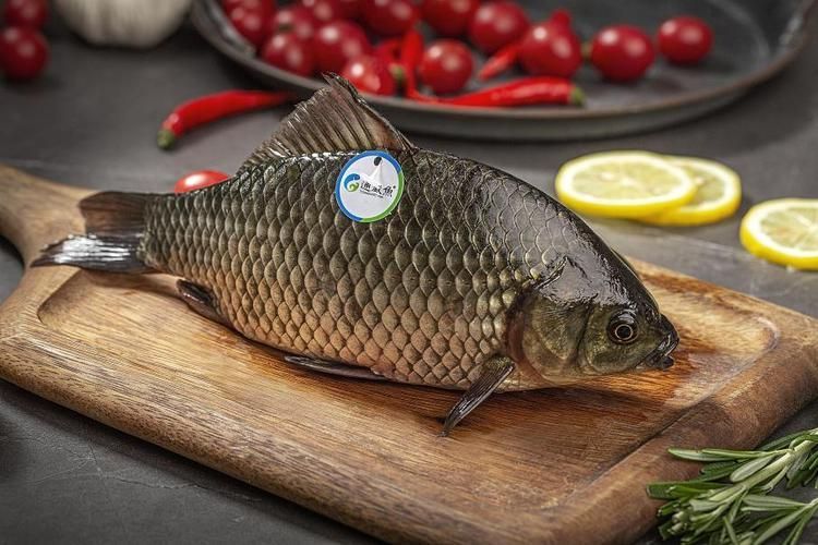 能否提供國內十大品牌魚的圖片，十大品牌魚中哪個最有名如何辨別十大品牌魚的真偽
