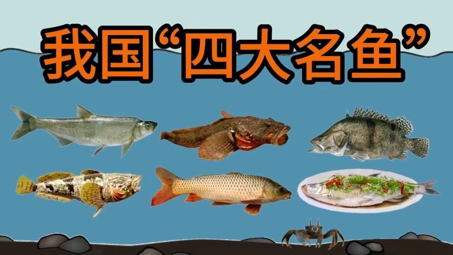 能否提供國內十大品牌魚的圖片，十大品牌魚中哪個最有名如何辨別十大品牌魚的真偽