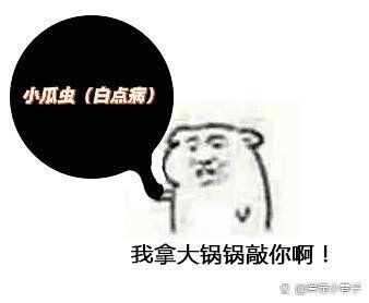 小瓜蟲和異尖線蟲的生活史是怎樣的，富媒體組件庫中關(guān)于小瓜蟲與異尖線蟲生活史的權(quán)威性與多樣性