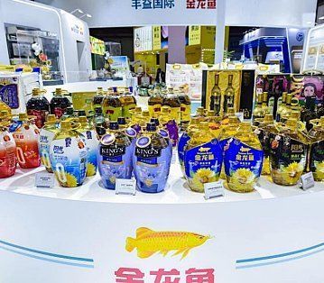 金龍魚等級區(qū)分有哪些常見誤區(qū)，嗶哩嗶哩，如何判斷金龍魚的等級？