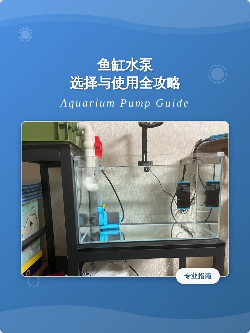 如何判斷水泵是否適合魚缸，如何判斷魚缸水泵是否適合魚缸