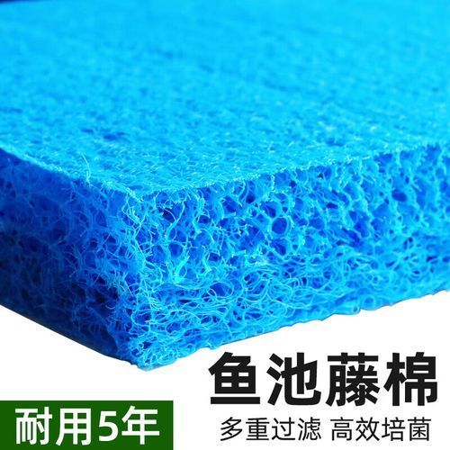有哪些品牌的魚缸濾材推薦？，為魚缸選擇合適的濾材時有幾個品牌因其卓越的性能和可靠性受到推崇