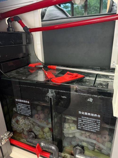 有哪些品牌的魚缸濾材推薦？，為魚缸選擇合適的濾材時有幾個品牌因其卓越的性能和可靠性受到推崇