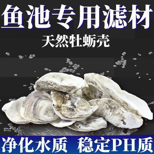 有哪些品牌的魚缸濾材推薦？，為魚缸選擇合適的濾材時有幾個品牌因其卓越的性能和可靠性受到推崇