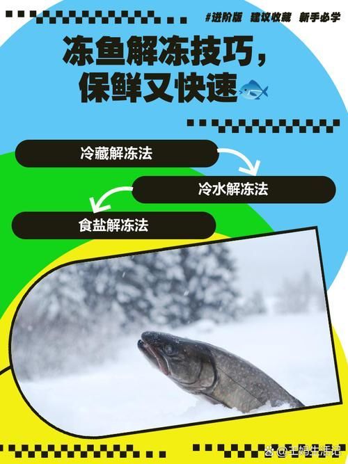 如何安全地食用海南龍魚刺？，關于海龍魚的問題