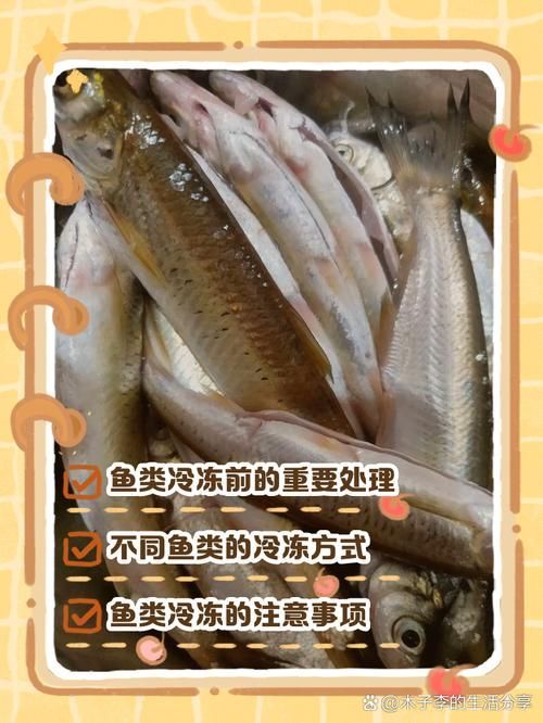 如何安全地食用海南龍魚刺？，關于海龍魚的問題