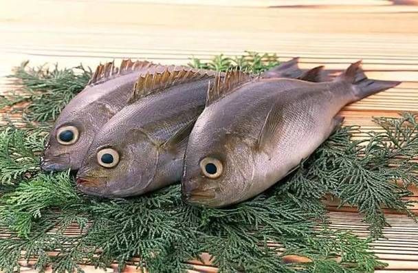 如何判斷海龍魚是否新鮮？，——權威感官判定指南（1000字詳解）