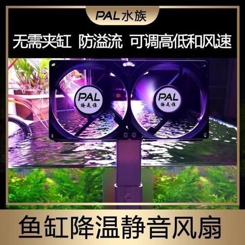 如何降低龍魚缸的水溫至30度？，北京龍魚缸水溫降至30℃并非極端操作