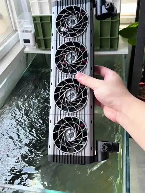 如何降低龍魚缸的水溫至30度？，北京龍魚缸水溫降至30℃并非極端操作
