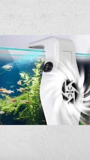 如何降低龍魚缸的水溫至30度？，北京龍魚缸水溫降至30℃并非極端操作