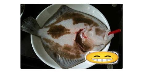 龍魚外傷漏出內臟還能恢復嗎視頻，魚外傷漏出內臟后恢復能力取決于多種因素包括傷口的嚴重程度