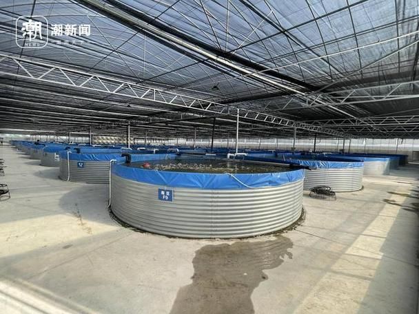 有哪些成功的百種魚混養案例，“百種魚混養案例無需新增搜索“百種魚混養”案例