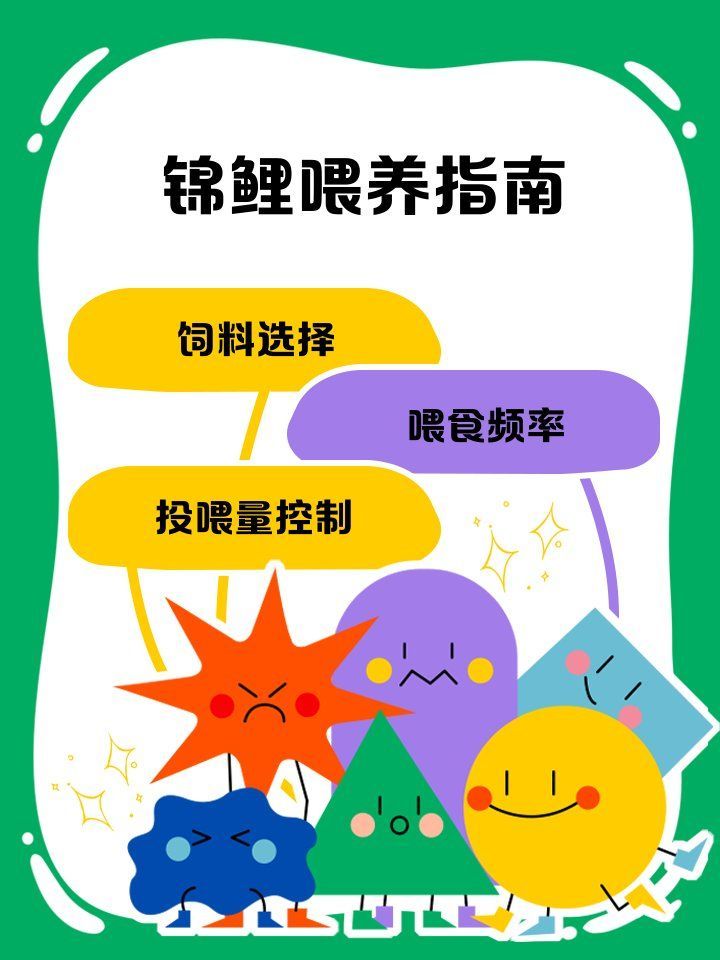 錦鯉的養殖技巧有哪些，觀賞魚中的佼佼者，錦鯉養殖技巧對于保持低蛋白易消化