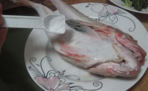 龍魚(yú)浮頭下鹽，關(guān)于龍魚(yú)浮頭下鹽的詳盡解析及操作指南