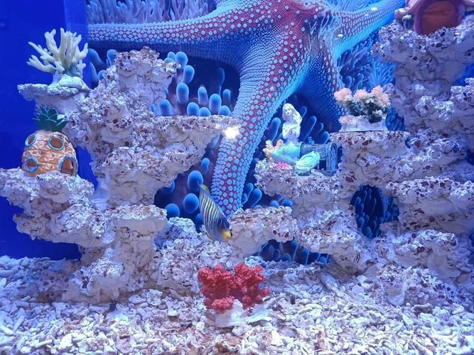廣州花地灣水族館有哪些特色，廣州花地灣水族館有哪些特色，