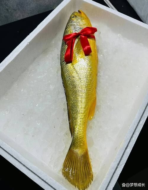 十大最不吉利魚，年夜飯中被認為“不吉利”的十種魚，吃魚不僅是為了美味