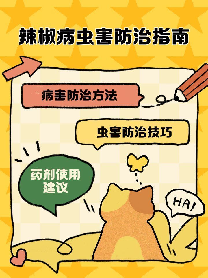 如何防治紅龍辣椒的病蟲害，如何防治紅龍辣椒病蟲害？