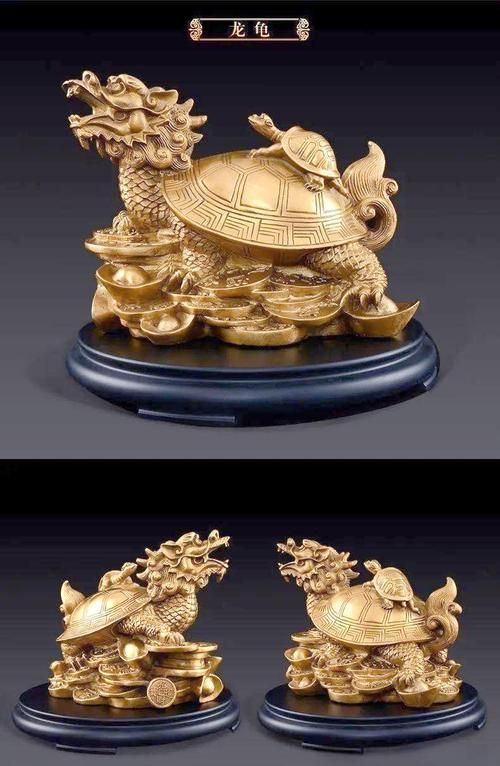 龍龜圖片高清大圖有哪些，龍龜圖片高清大圖展示