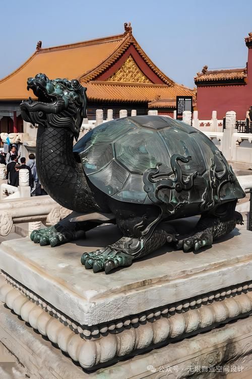 龍龜圖片高清大圖有哪些，龍龜圖片高清大圖展示