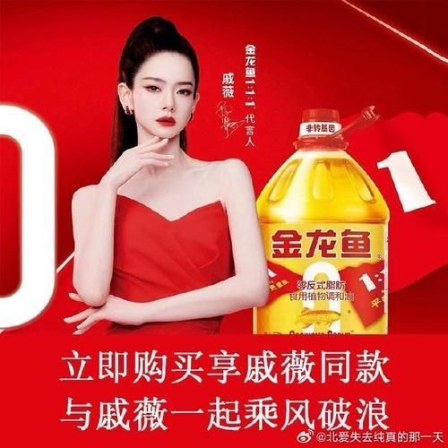 2024年金龍魚廣告有哪些變化？，2024年金龍魚2024年金龍魚廣告的核心變化體現 2024年金龍魚廣告有哪些變化？，2024年金龍魚2024年金龍魚廣告的核心變化體現 龍魚百科 第1張