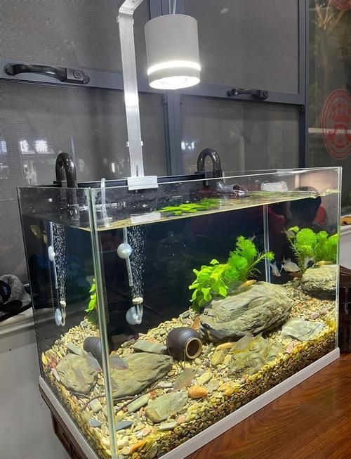 森森魚缸哪個型號最受歡迎，森森魚缸哪個型號最受歡迎h(huán)e-480型號推薦