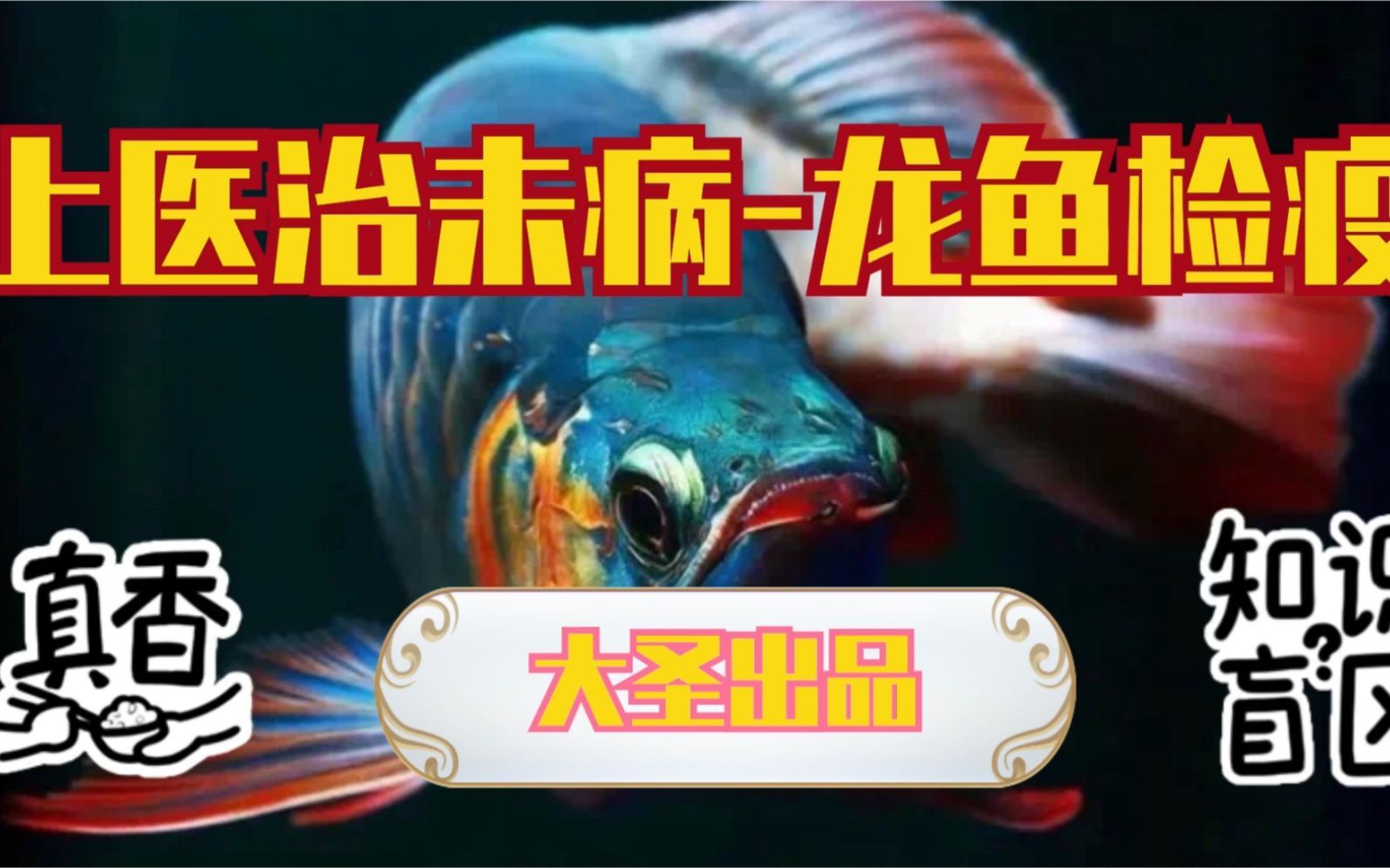 如何預防龍魚感染外寄生蟲？，關于龍魚外寄生蟲預防 如何預防龍魚感染外寄生蟲？，關于龍魚外寄生蟲預防 龍魚百科