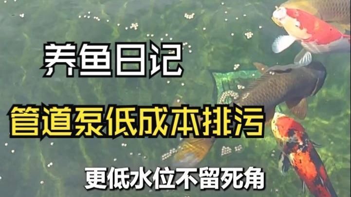 祥龍魚場是否使用老魚匠的設備，祥龍魚場是否使用老魚匠的設備，