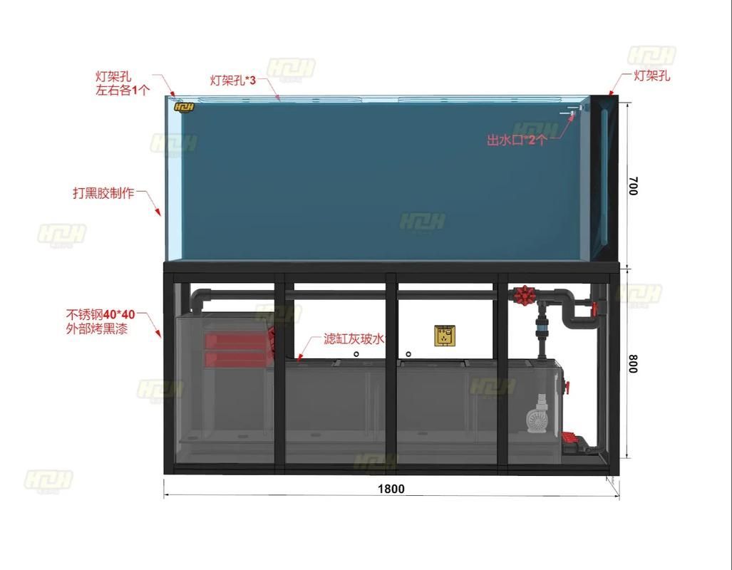 白子銀板魚和龍魚混養(yǎng)需要哪些設(shè)備，白子銀板魚與龍魚混養(yǎng)所需要的設(shè)備配置要求匯總