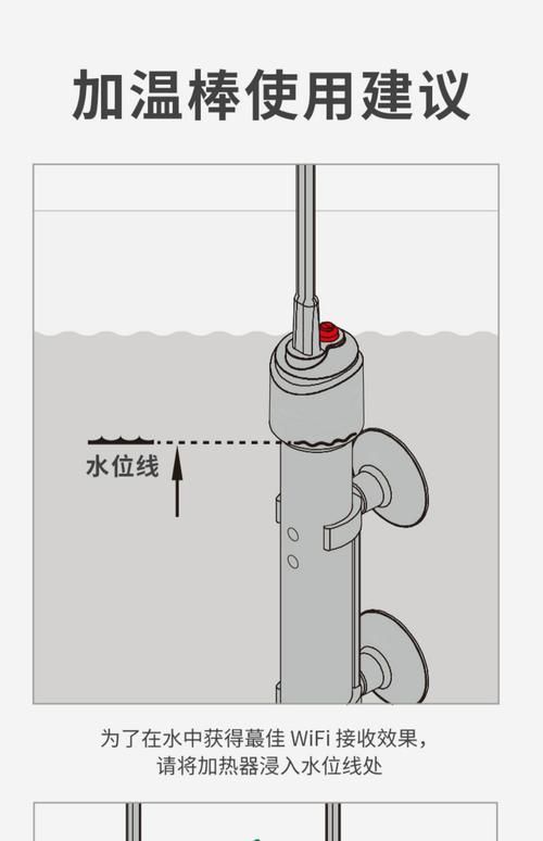 白子銀板魚和龍魚混養(yǎng)需要哪些設(shè)備，白子銀板魚與龍魚混養(yǎng)所需要的設(shè)備配置要求匯總