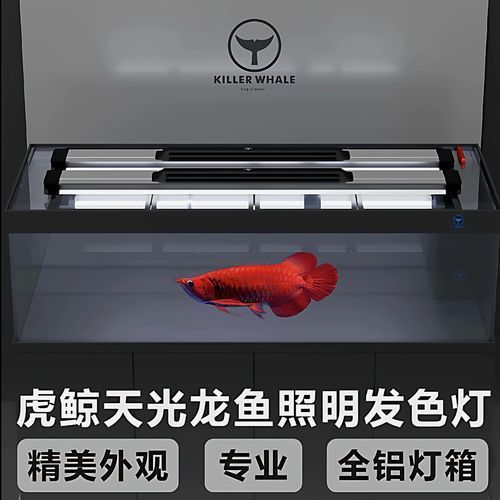 6700K和2700K燈管有什么區別，6700k和2700k燈管哪個更護眼？