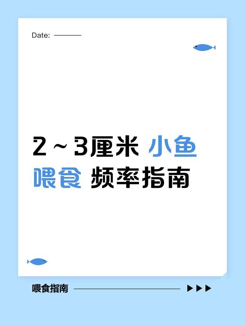 2～3厘米小魚一天喂幾次，2～3厘米小魚一般吃幾粒魚食