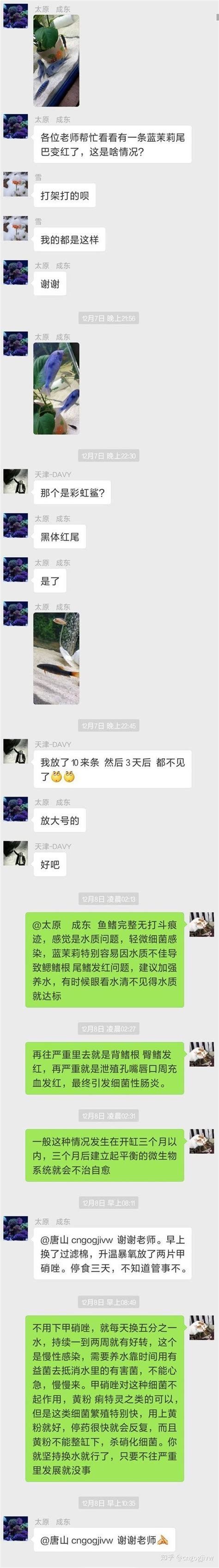 龍魚魚鰭充血最簡(jiǎn)單三個(gè)妙招，龍魚魚鰭充血三個(gè)最簡(jiǎn)單、最常用且效果顯著的應(yīng)對(duì)妙招