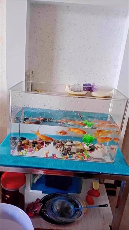 給我推薦幾款適合兇猛魚的魚缸，為兇猛魚選擇合適的魚缸時(shí)，您需要考慮到幾個(gè)關(guān)鍵因素