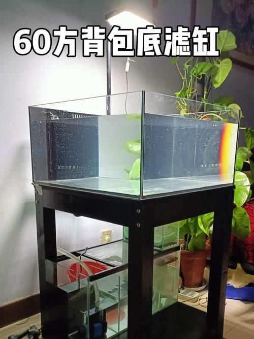 給我推薦幾款適合兇猛魚的魚缸，為兇猛魚選擇合適的魚缸時(shí)，您需要考慮到幾個(gè)關(guān)鍵因素