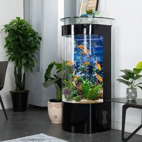 給我推薦幾款適合兇猛魚的魚缸，為兇猛魚選擇合適的魚缸時(shí)，您需要考慮到幾個(gè)關(guān)鍵因素