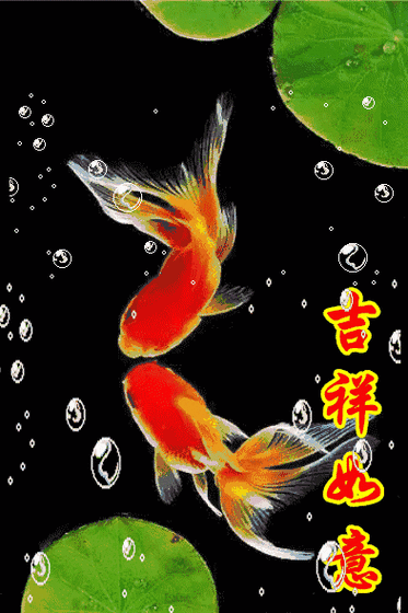動態紅龍魚壁紙推薦，動態紅龍魚壁紙 動態紅龍魚壁紙推薦，動態紅龍魚壁紙 龍魚百科 第16張