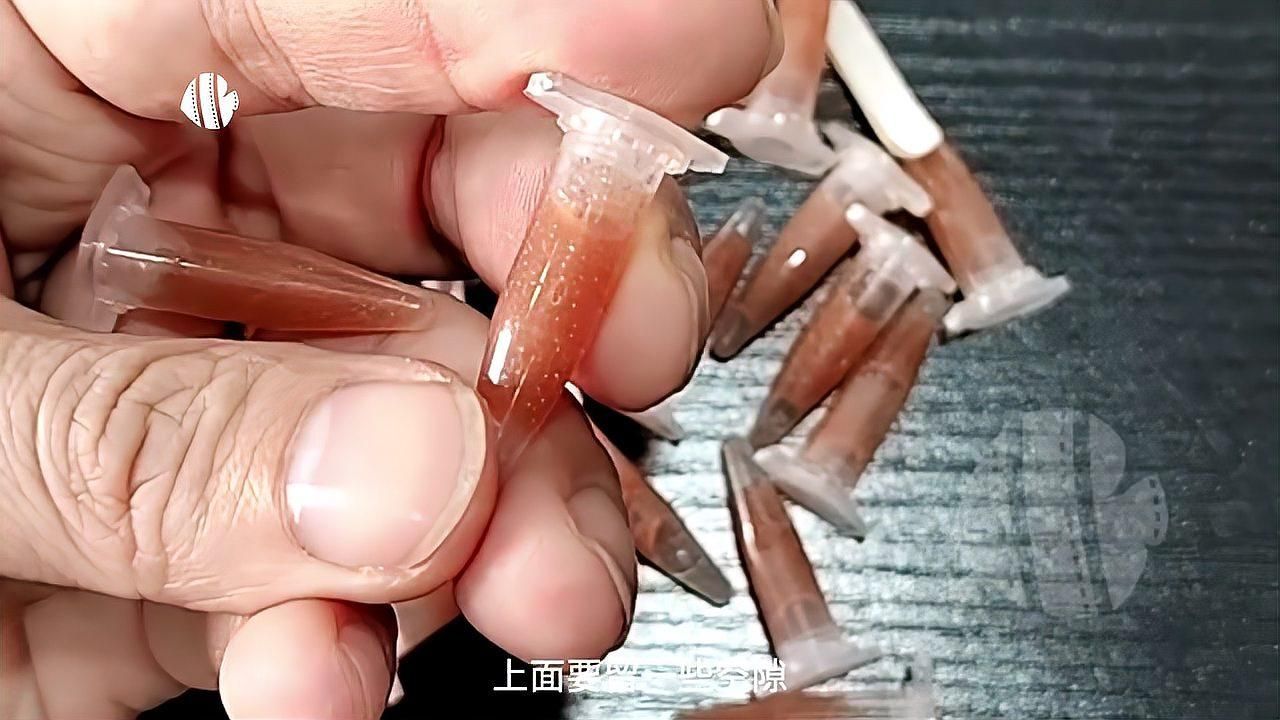 豐年蝦無(wú)節(jié)幼體如何孵化，豐年蝦無(wú)節(jié)幼體多久不進(jìn)食，