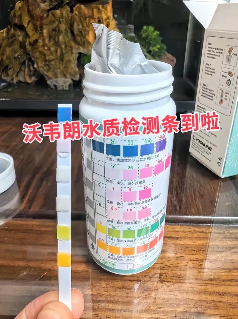 如何預防龍魚蒙眼再次發(fā)作？，如何預防龍魚蒙眼